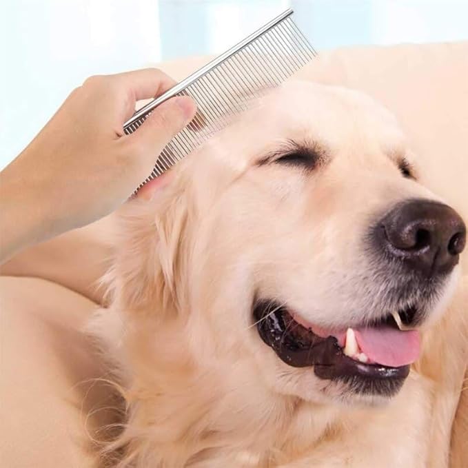 Peigne professionnel en acier inoxydable pour toilettage d'animaux