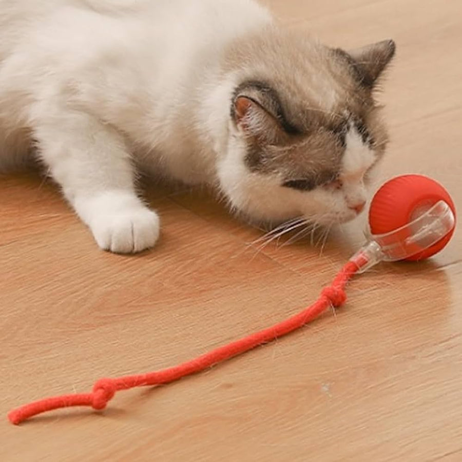 Automatic Moving Pets Toy Balls