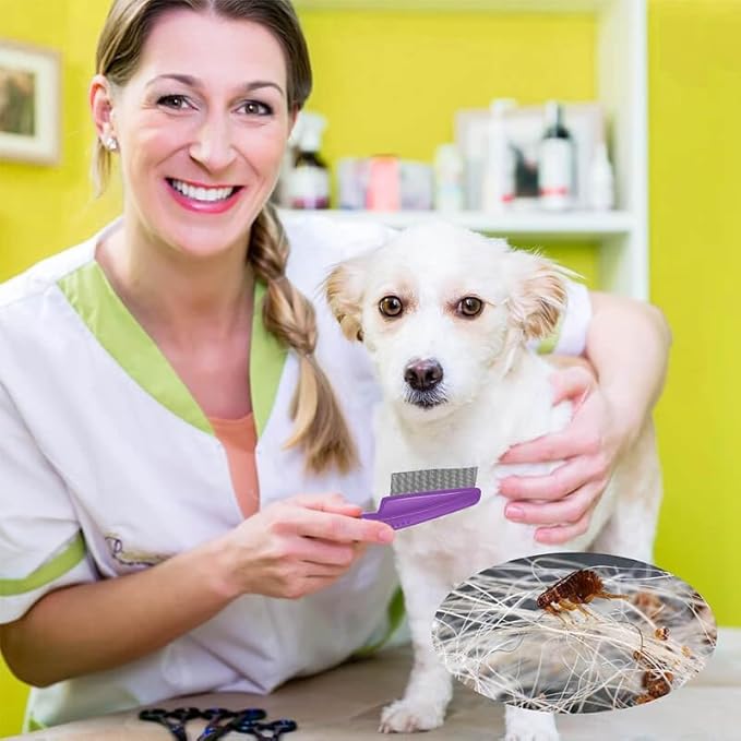 Peigne anti-puces pour animaux de compagnie