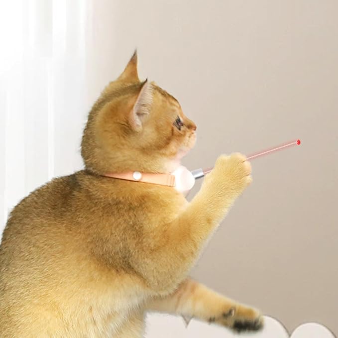 Katzen-Laserhalsband – Teaserspielzeug