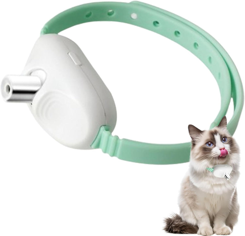 Cat Laser Collar – Teaser Toy