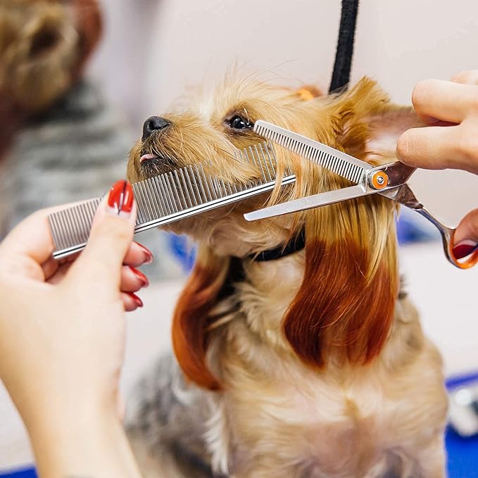 Peigne professionnel en acier inoxydable pour toilettage d'animaux