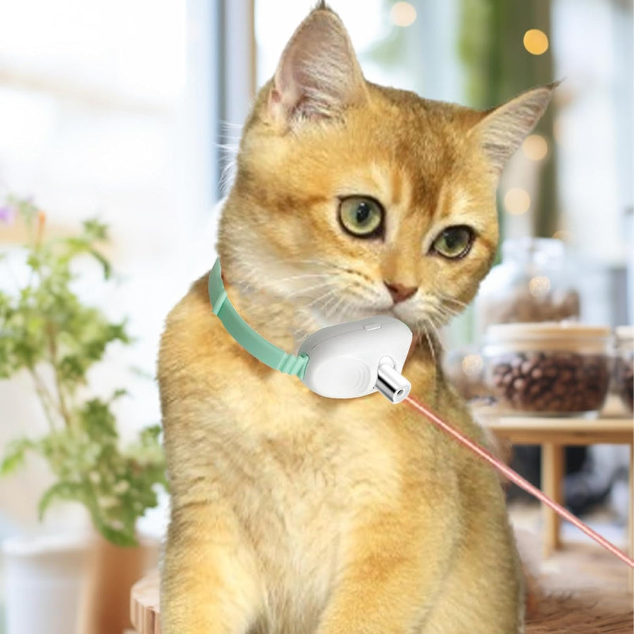 Katzen-Laserhalsband – Teaserspielzeug