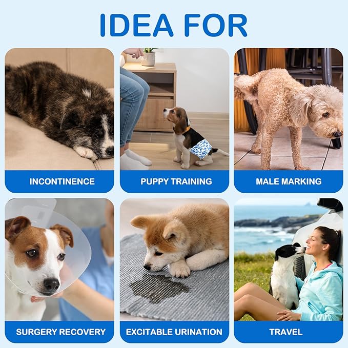 Couches pour chien mâle