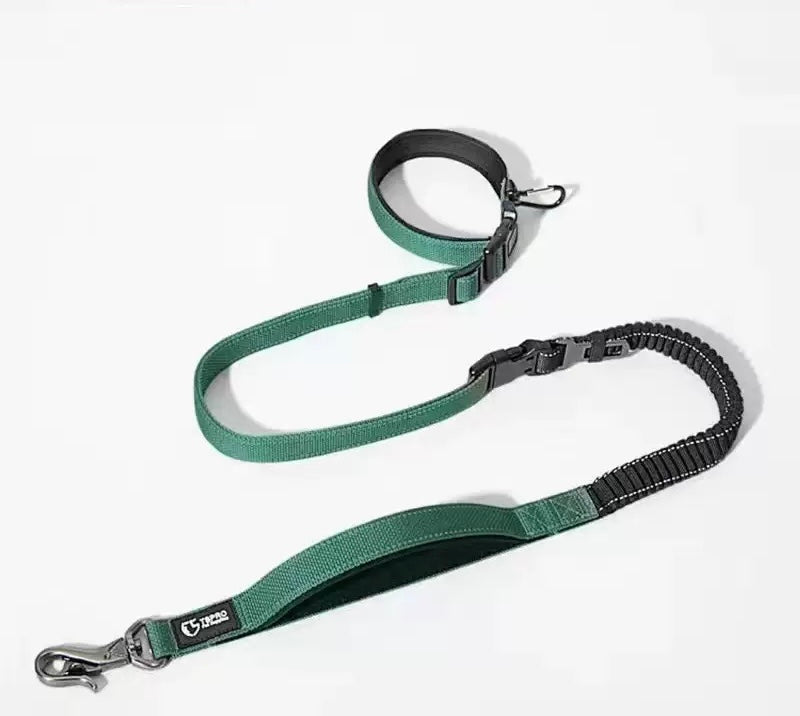 Premium Adjustable & Durable Dog Leashes