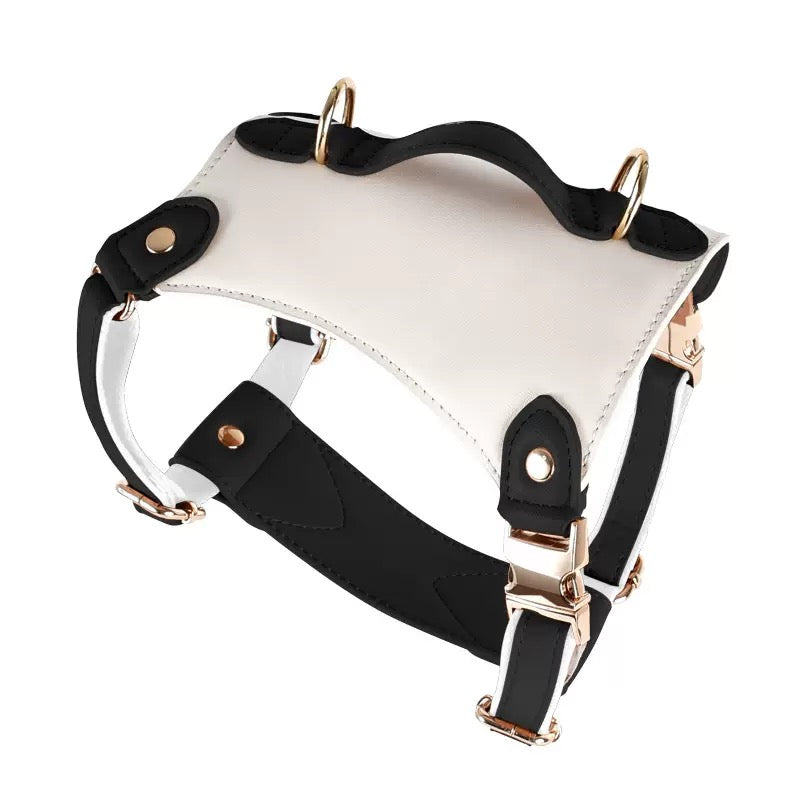 Classics Leather Dog Harness