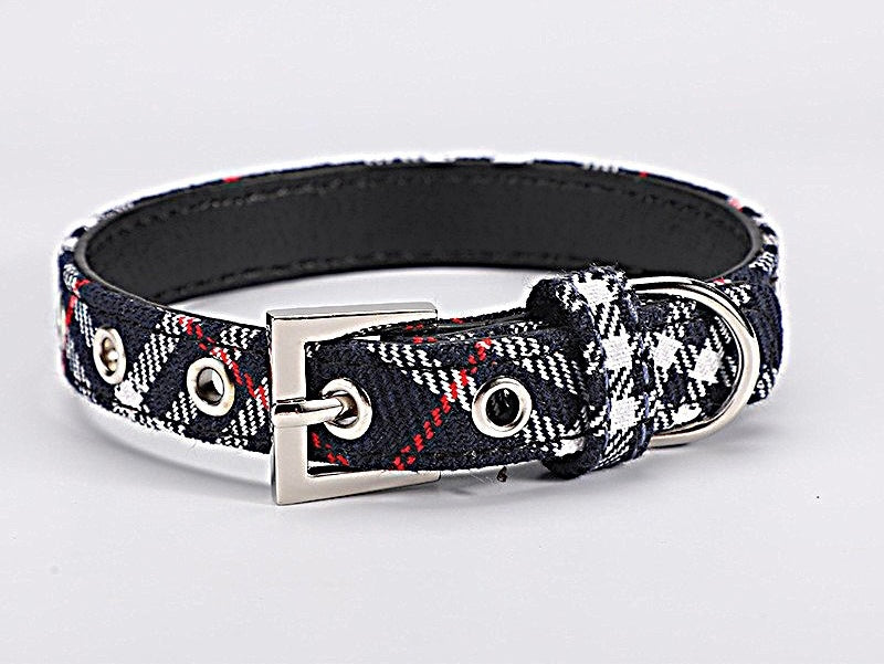 Martingale Dog Collar