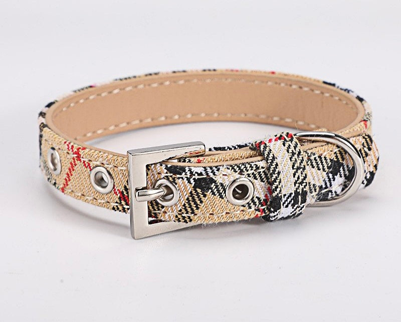 Martingale Dog Collar