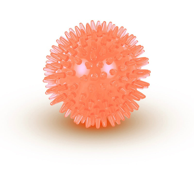 Squeaky Dog Toy Ball
