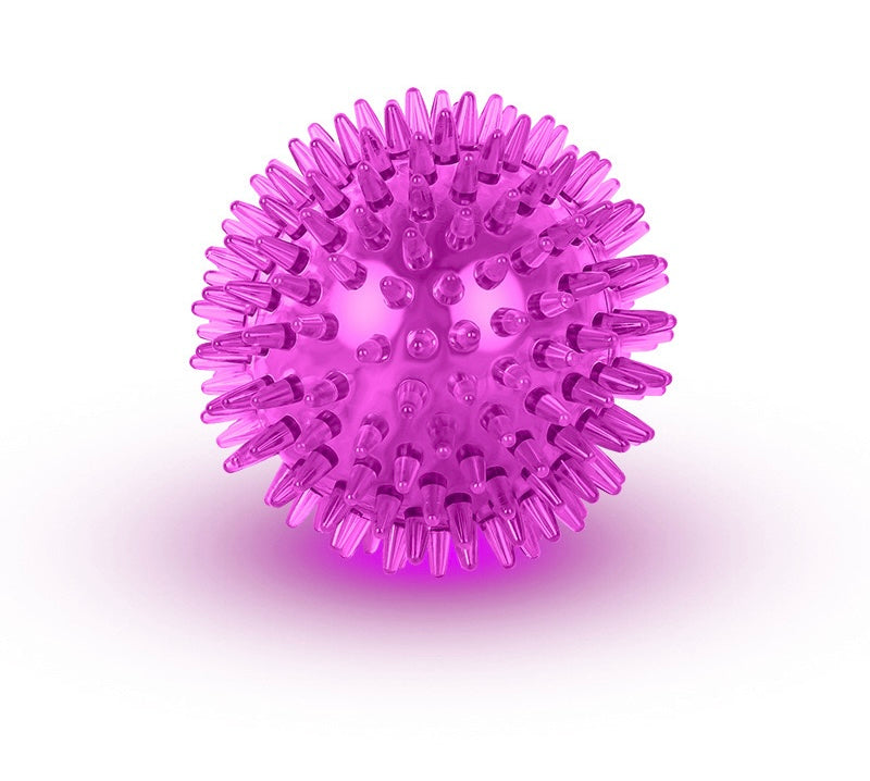 Squeaky Dog Toy Ball