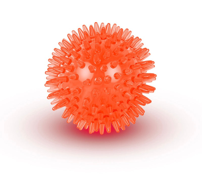 Squeaky Dog Toy Ball
