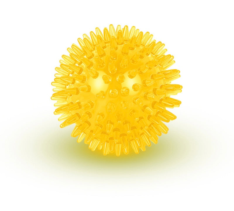 Squeaky Dog Toy Ball