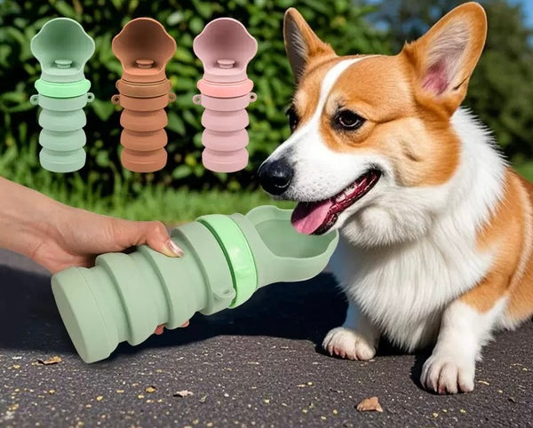 Hundefutterautomaten