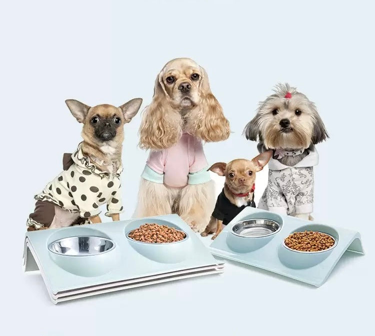 Elevated Tilted Double Stainless Steel Pet Bowl Stand