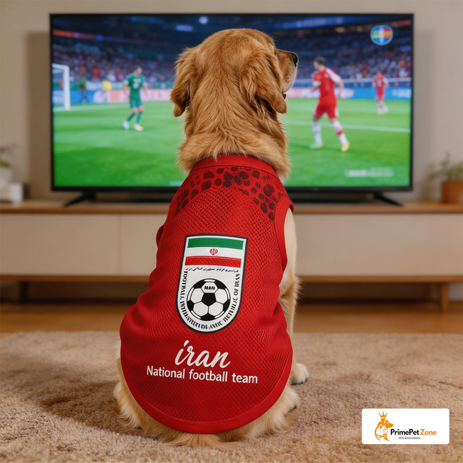 Iran - Startseite