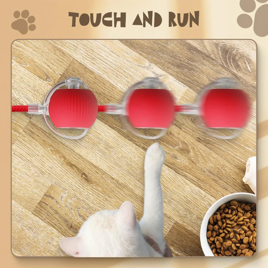 Automatic Moving Pets Toy Balls