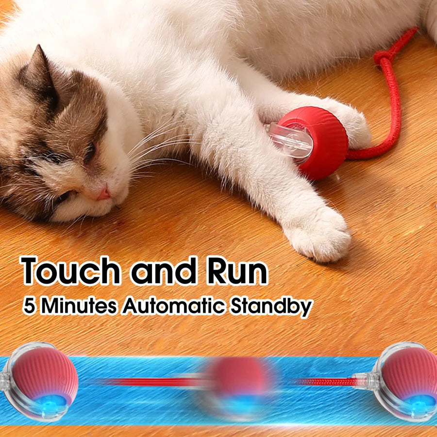 Automatic Moving Pets Toy Balls