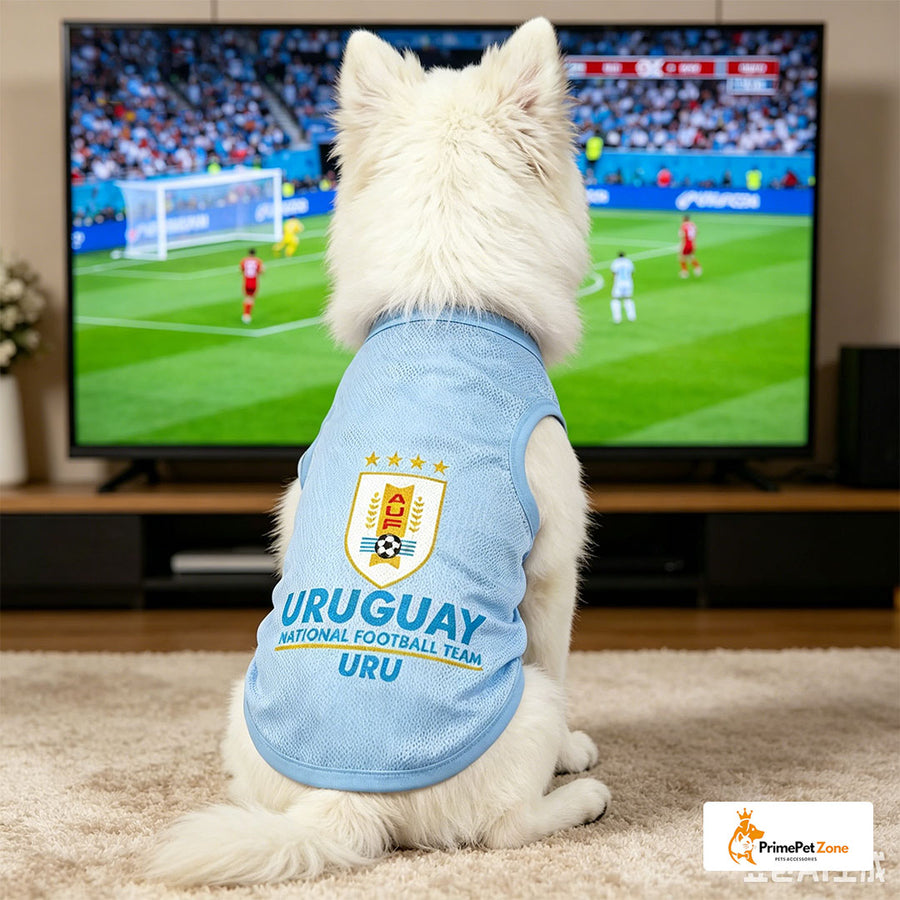 Uruguay - Startseite