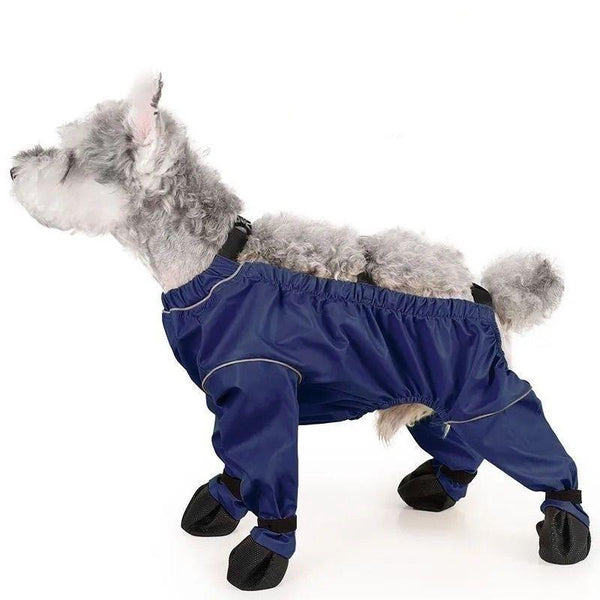 Hundekleidung