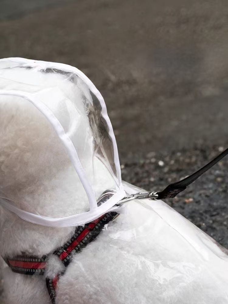 Dog Raincoat with Hood