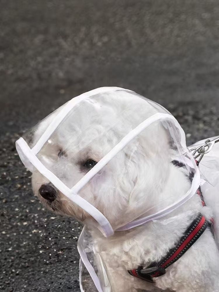 Dog Raincoat with Hood