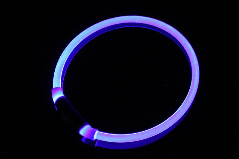 Rechargeable Pet Luminous Collar