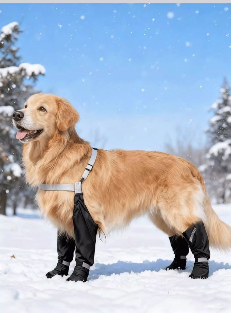 Rutschfeste & wasserdichte Hundeschuhe
