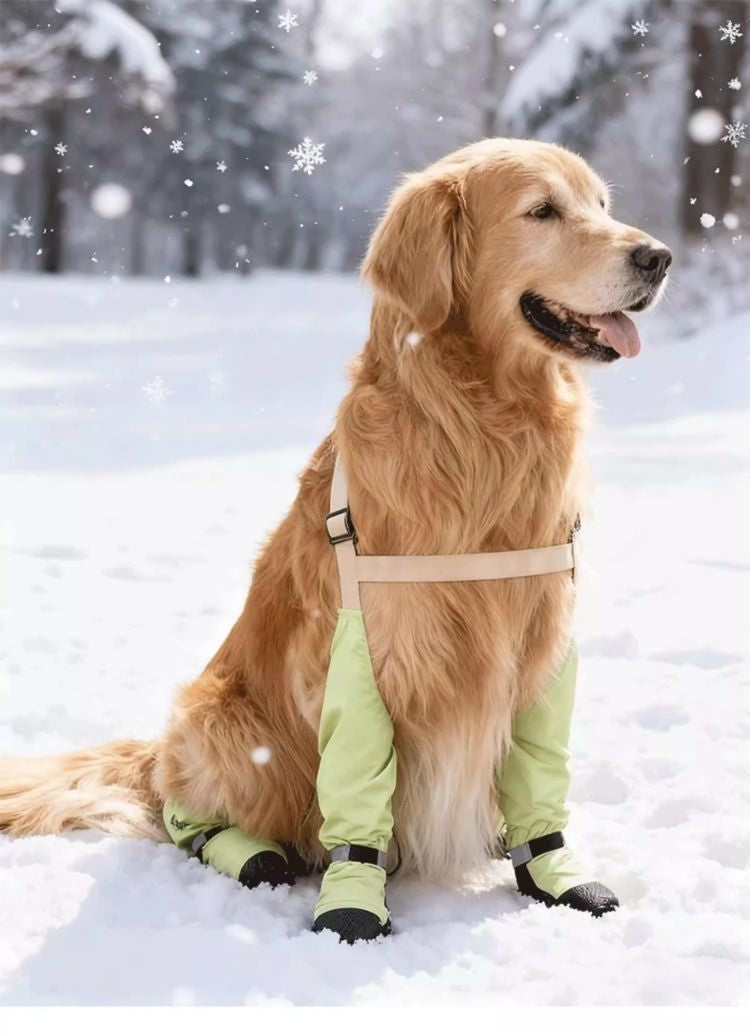 Rutschfeste & wasserdichte Hundeschuhe