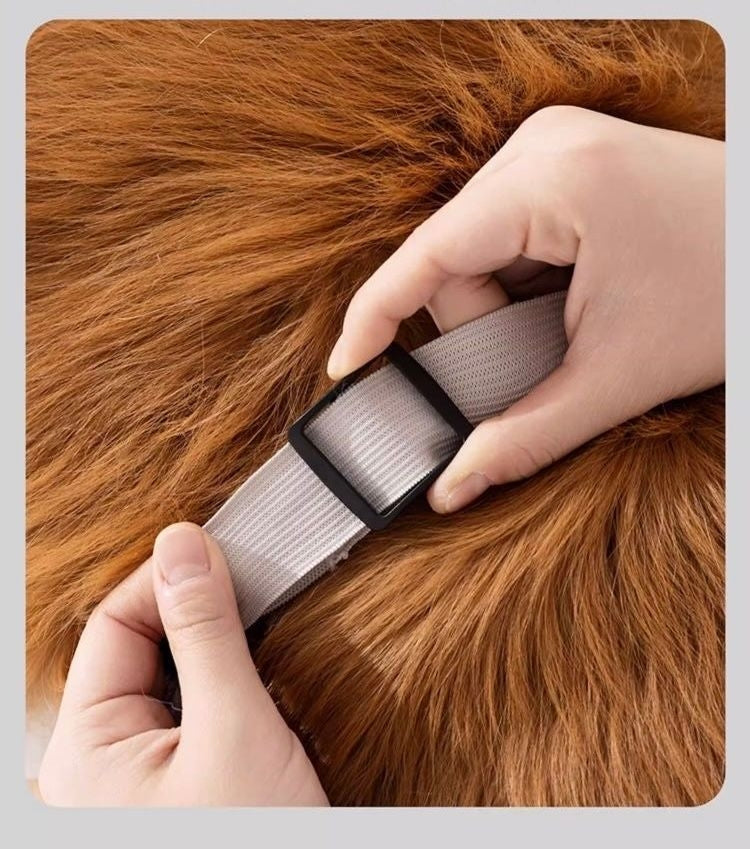 Rutschfeste & wasserdichte Hundeschuhe