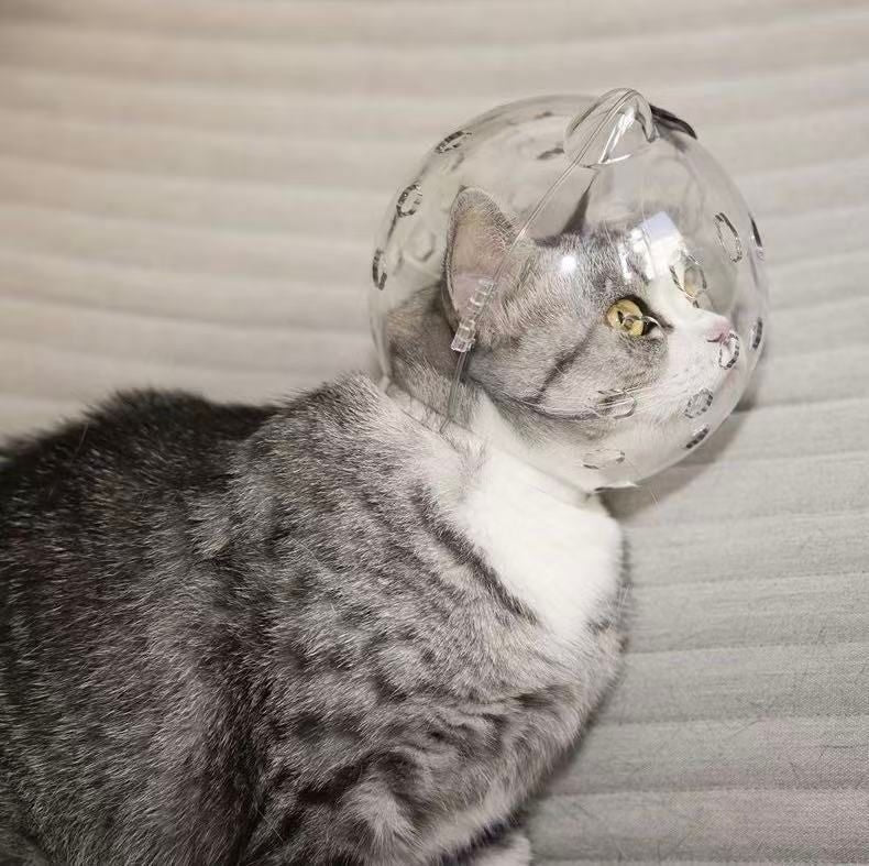 Cat Muzzle