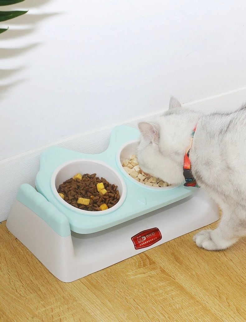 Double Feeding Bowls