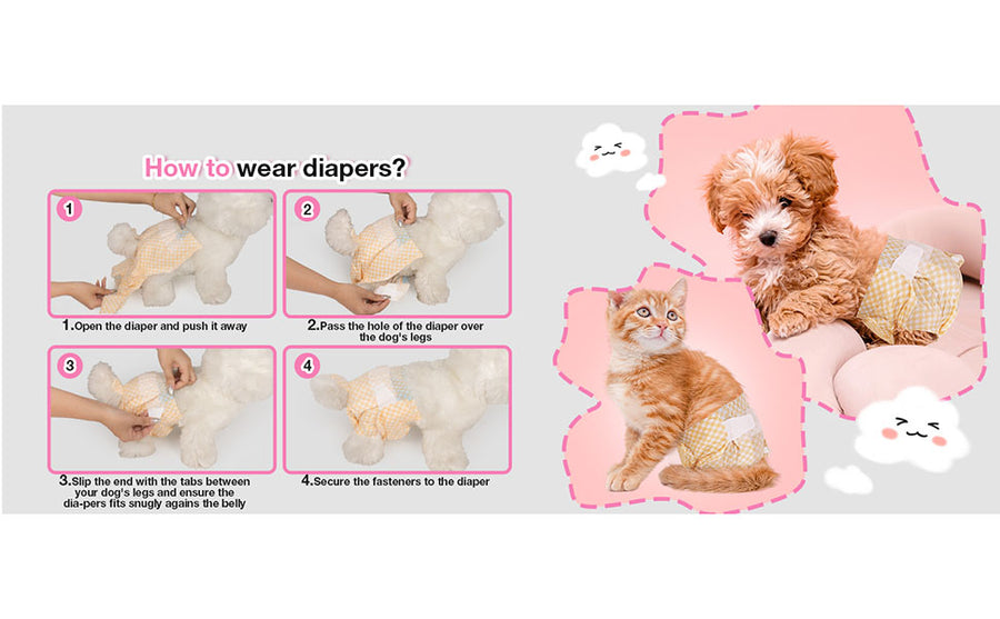 Female Dog Diapers