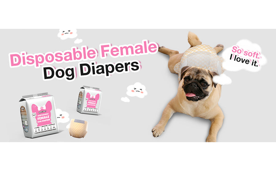 Female Dog Diapers