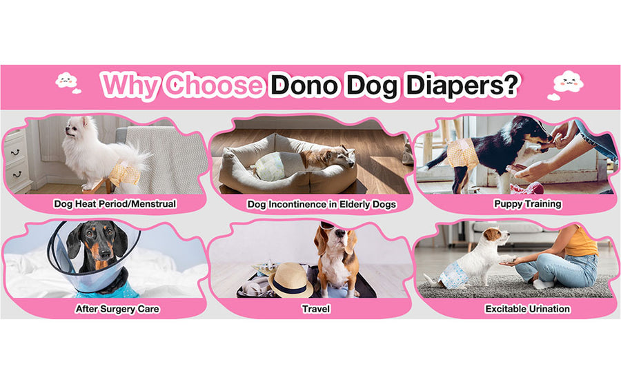 Female Dog Diapers