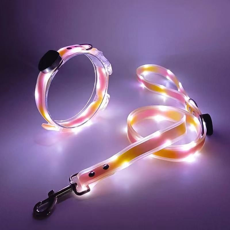 Pet LED Collar & Leash Set