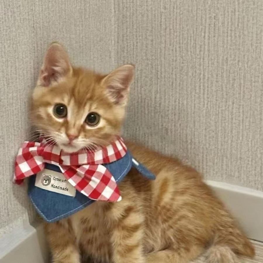 Bandana-Halsband - Cowboy-Stil