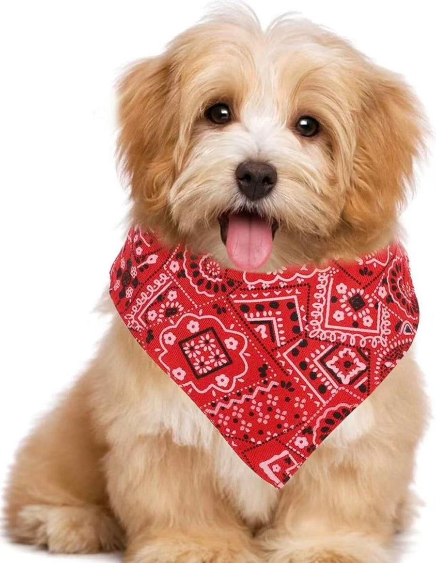 Bandana Collar - Indiana Style