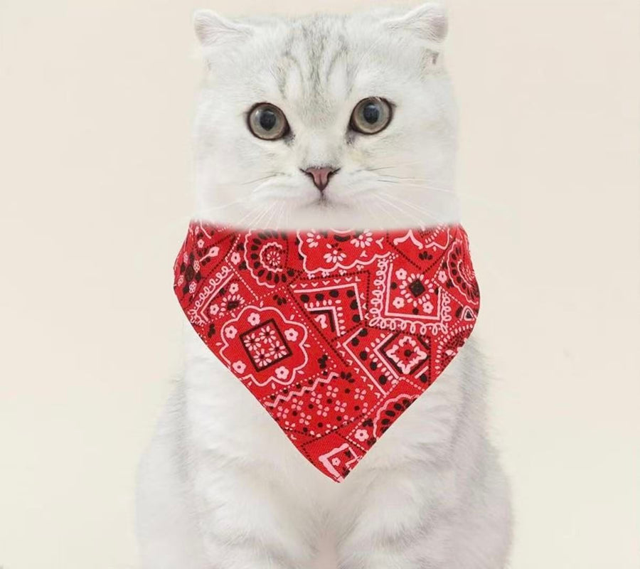 Bandana Collar - Indiana Style