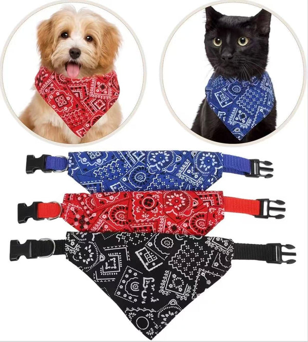 Katzenhalsband