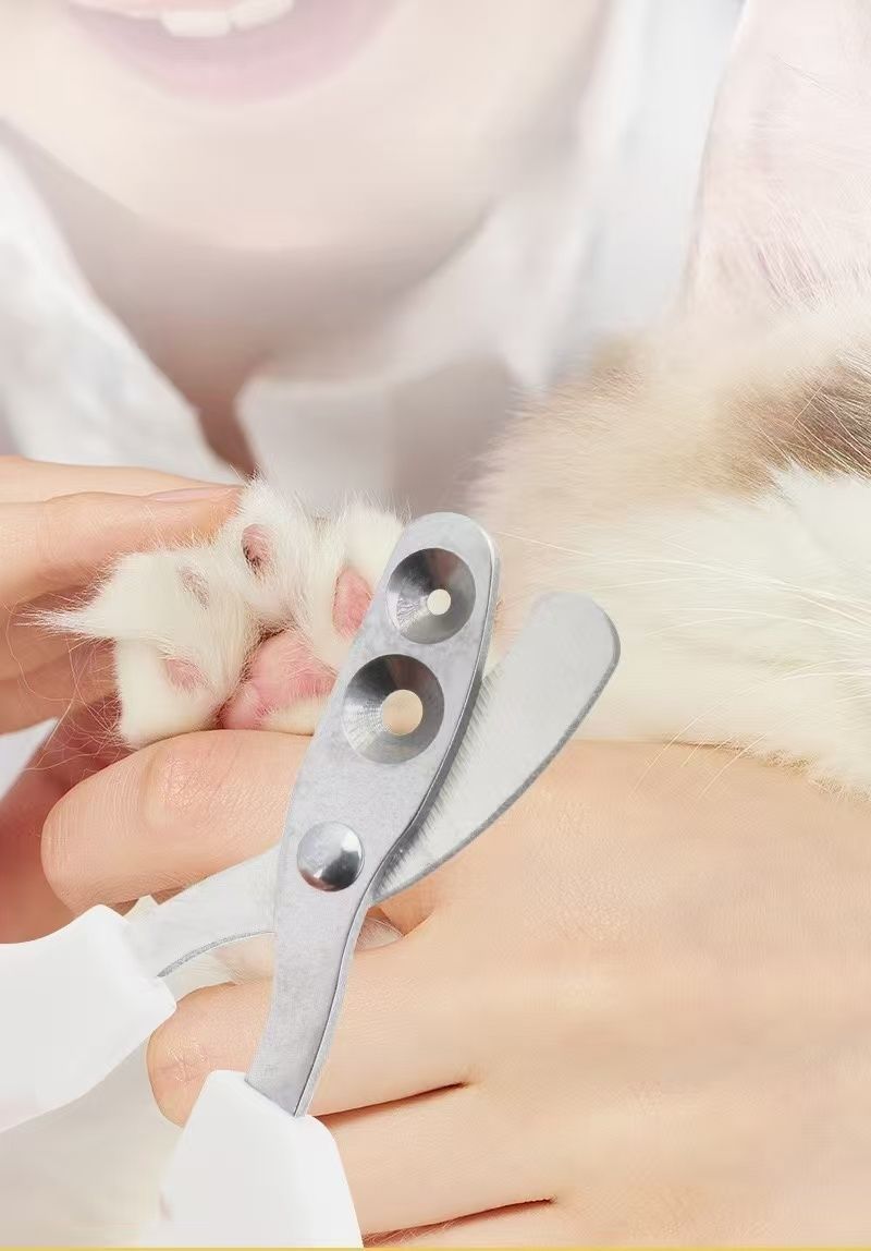Pet Grooming Set