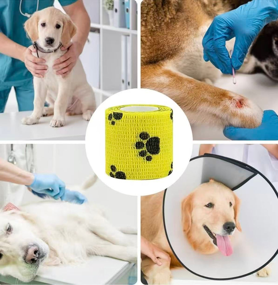 Bandage de protection pour animaux de compagnie
