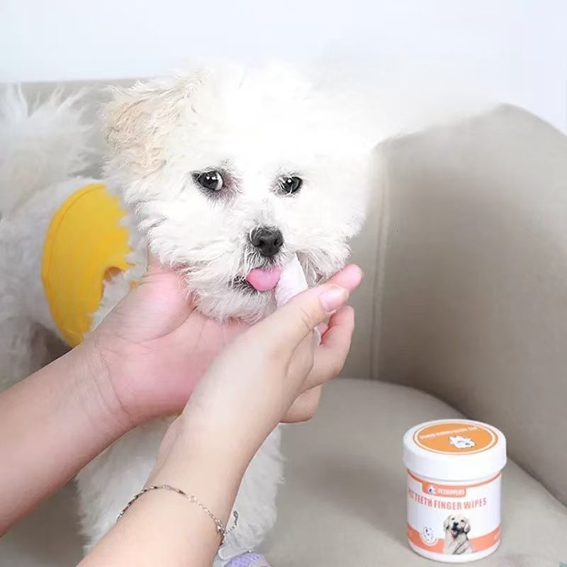 Lingettes dentaires pour animaux de compagnie (50 pièces)