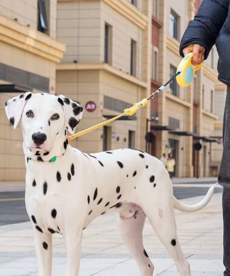 360° Tangle-Free Retractable Dog Leash (3m)