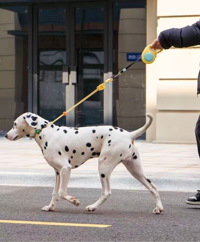 360° Tangle-Free Retractable Dog Leash (3m)