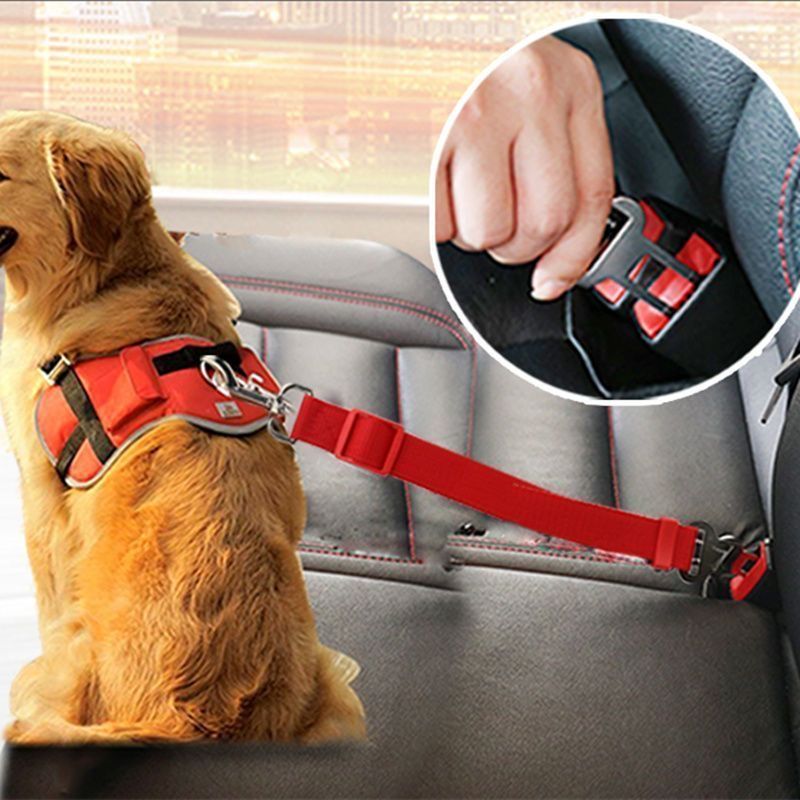 Verstellbarer Hunde-Autosicherheitsgurt
