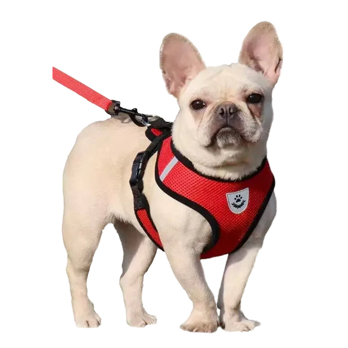 Adjustable Pet Harness with Leash Set