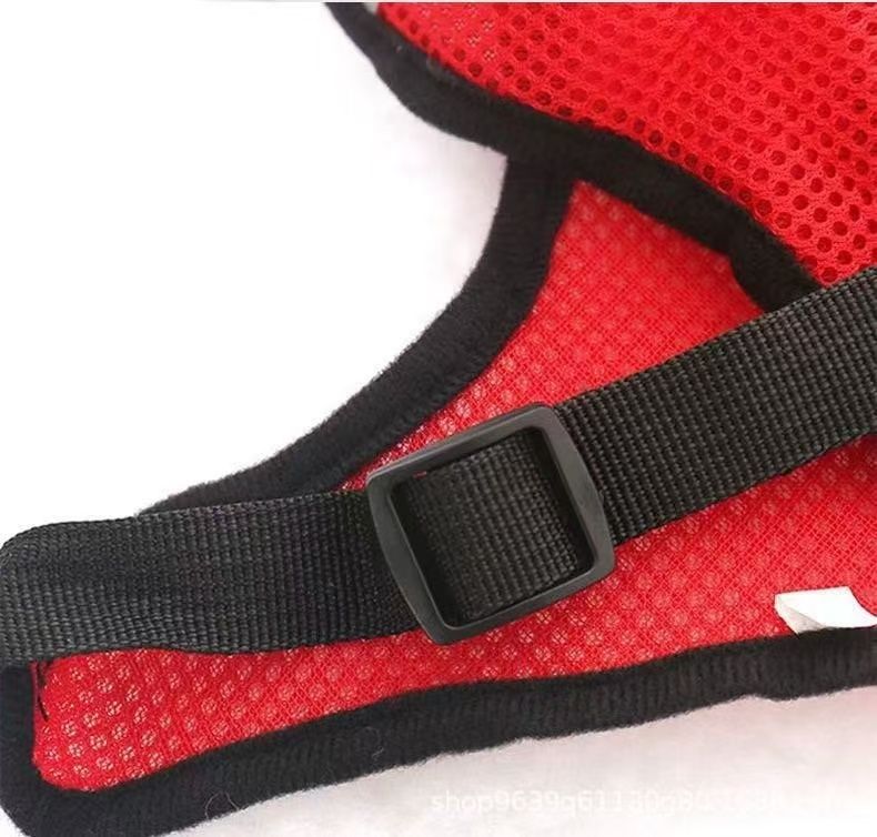 Adjustable Pet Harness with Leash Set