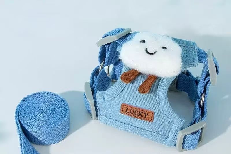 Cutie Pet Harness and Leash Set