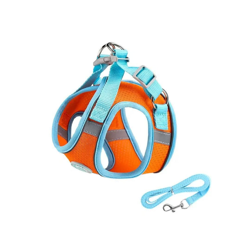 Puppy Harness and Leash Set
