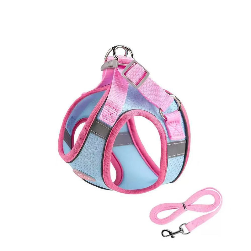 Puppy Harness and Leash Set
